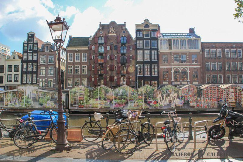 15 must-see places to visit in Amsterdam (map included)